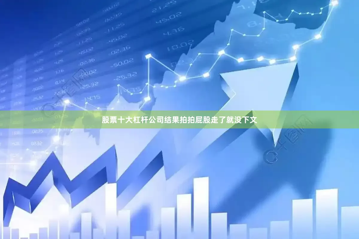 股票十大杠杆公司结果拍拍屁股走了就没下文