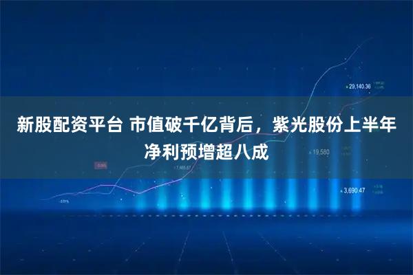 新股配资平台 市值破千亿背后，紫光股份上半年净利预增超八成