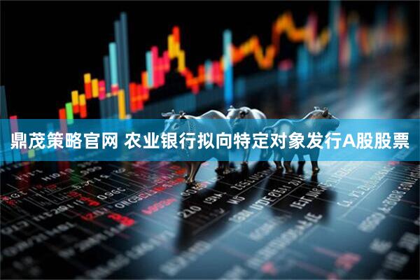 鼎茂策略官网 农业银行拟向特定对象发行A股股票
